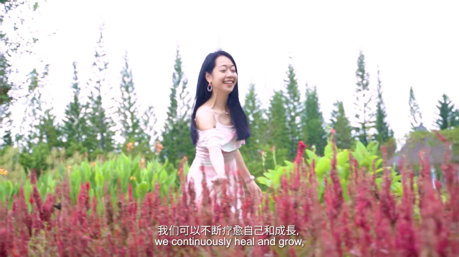 Flower Remedies EP1